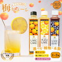 【ふるさと納税】無添加 梅ピューレ 1本315ml 選べる 種類 本数 梅 フルーツ 果物 完熟梅 うめ 柚子 ゆず ブルーベリー ジュース 梅ジュース ピューレ シロップ 果肉 炭酸割 アイス ホット ドリンク 京都府 京都 京丹波町 京丹波 7000円 8000円 11000円