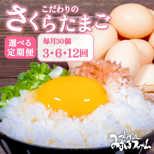 【ふるさと納税】 定期便 卵 さくらたまご 毎月 30個 (割れ保証4個含む) 3回 6回 12回 ( たまご 純国産 国産 さくら 大人気 玉子焼き 卵焼き 卵かけご飯 ゆで卵 すき焼き 鳥 鶏 鶏卵 卵黄 玉子スープ 玉子焼き 生卵 まとめ買い 京都 京丹波町 ふるさと納税 ) 【ふるさと納税】 定期便 卵 さくらたまご 毎月 30個 (割れ保証4個含む) 3回 6回 12回 ( たまご 純国産 国産 さくら 大人気 玉子焼き 卵焼き 卵かけご飯 ゆで卵 すき焼き 鳥 鶏 鶏卵 卵黄 玉子スープ 玉子焼き 生卵 まとめ買い 京都 京丹波町 ふるさと納税 )