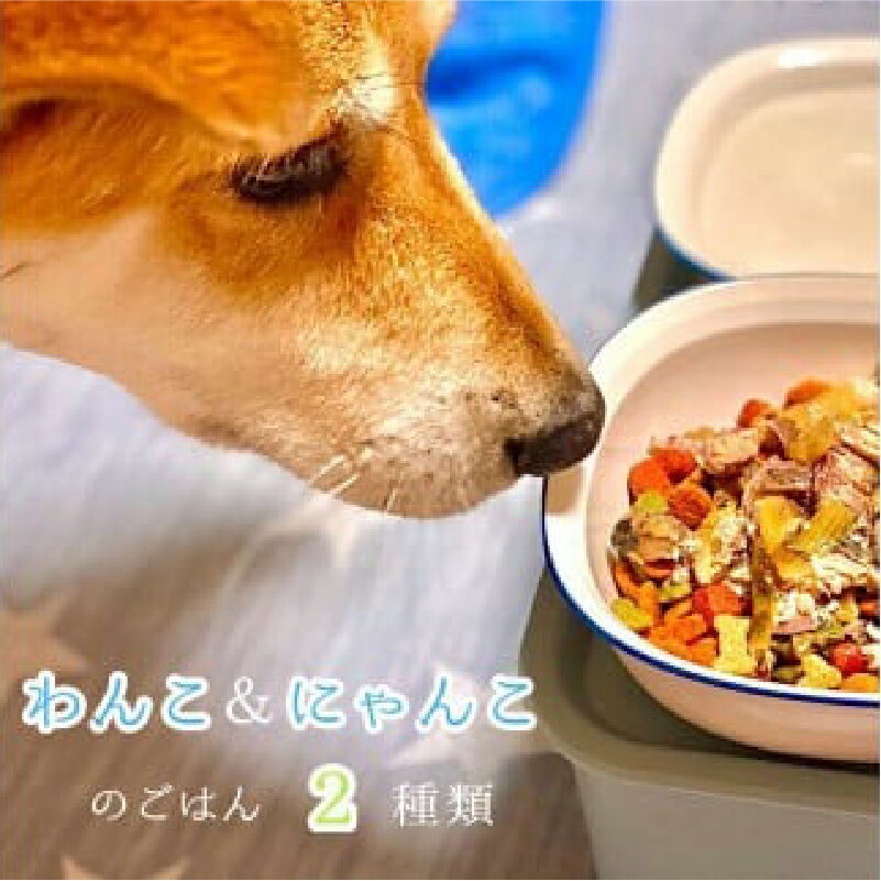 無添加 ペット フード ワンコ と ニャンコ の ご飯 2種類 (トマトシチュー・イワシ煮) 4袋 犬 猫 ドッグフード キャットフード 安心 安全 ペットフード ペット用品 ヒューマングレード リッチフード いぬ ねこ 犬用 猫用 自然食材 魚 肉 野菜 やさい