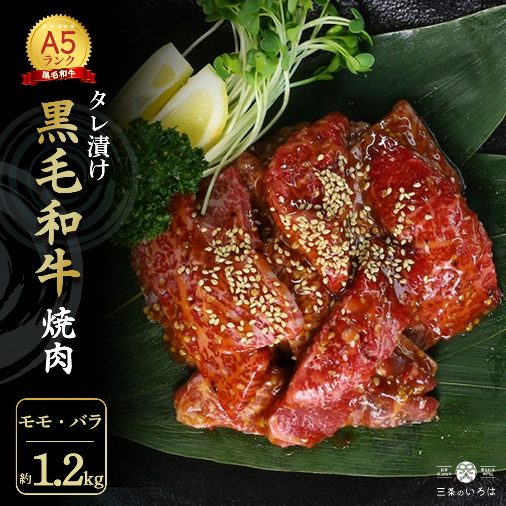 【ふるさと納税】 厳選 国産 黒毛和牛 A5 タレ漬け 焼肉 用 モモ バラ 1.2kg 大人数用 牛肉 熨斗 贈答 ギフト 冷凍 牛肉 牛 たれ漬け肉 ヤキニク やきにく 焼き肉 焼肉 BBQ バーベキュー キャンプ アウトドア 贅沢 プチ贅沢 誕生日 母の日 父の日 卒業 お祝い クリスマス