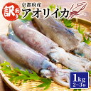 【ふるさと納税】 訳あり アオリイカ 約1kg 2~3杯 イカ 国産 烏賊 冷凍 海鮮 地物 イカ刺身 さしみ 刺身 刺し身 刺身用 天ぷら 煮付け 塩焼き イ...