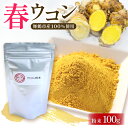 【ふるさと納税】 ウコン 粉末 100g 春ウコン 農薬不使用 人気 おすすめ 1万円 10000円 京都 舞鶴