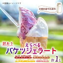 【ふるさと納税】 【訳あり】特製バケツジェラート 1L 選べる 種類 フレーバー 味 ジェラート アイスクリーム アイス バケツアイス 業務用アイス 業務用ジェラート 業務用 バルク 大容量 訳あり 野菜 果物 フルーツ デザート スイーツ 8000円 8000