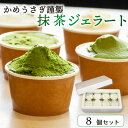 【ふるさと納税】 かめうさぎ謹製 抹茶ジェラート8個セット（抹茶 抹茶スイーツ ジェラート アイス 抹茶アイス 抹茶ジェラート 和菓子 京都 抹茶 スイーツ）