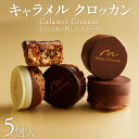 【ふるさと納税】 焼き菓子 キャラメルクロッカン 5個入 キャラメル クロッカン チョコ チョコレート カカオ スイーツ お菓子 おやつ デザート 洋菓子 ギフト プレゼント 贈り物 京都 八幡 パティスリーナチュールシロモト ナチュールシロモト