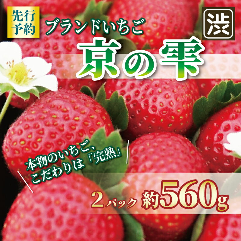 [先行予約] いちご 京の雫 2パック 約560g イチゴ 苺 ストロベリー フルーツ くだもの 果物 ブランド デザート おやつ 甘い 糖度 産地直送 人気 おすすめ 京都 八幡 渋谷農園