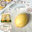【ふるさと納税】 シトラスガトー 10個入り オレンジ レモン ケーキ 柑橘 シロップ リキュール スイーツ お菓子 おやつ デザート 洋菓子 焼き菓子 詰合せ...