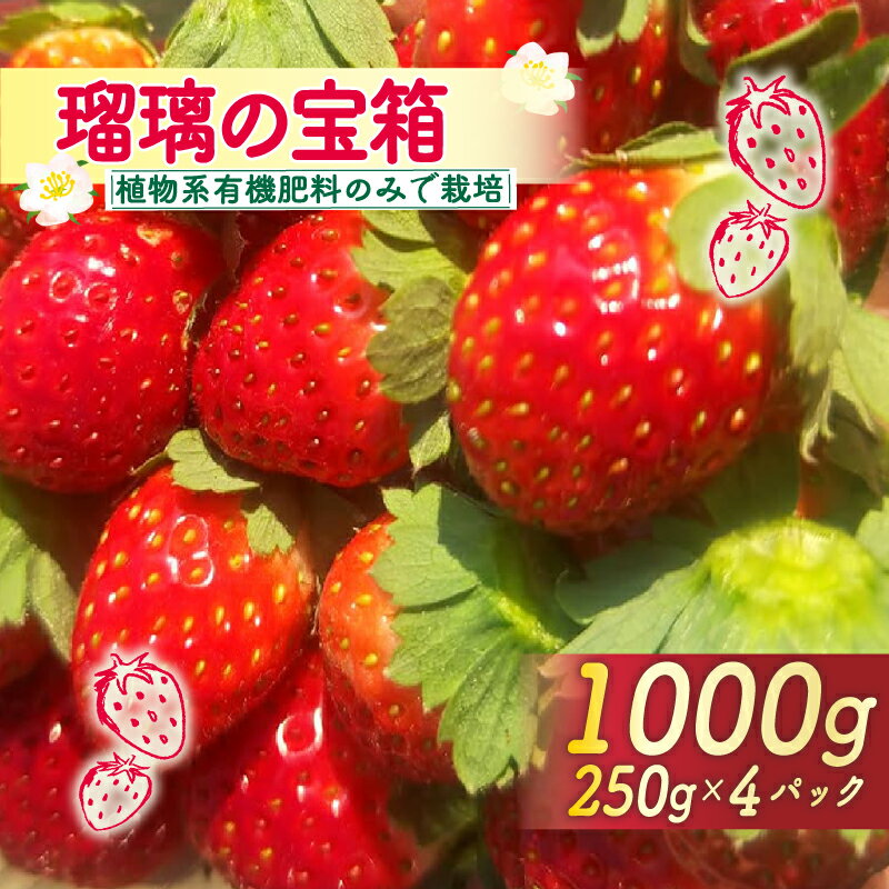 【ふるさと納税】 先行予約 いちご 1000g 瑠璃の宝箱 オーガニックイチゴ 250g 4パック 化粧箱入り イチゴ 苺 フルーツ 果物 国産 ブランド 産地 直送 フレッシュ 有機JAS 京都 八幡 八幡市 かみむら農園