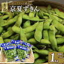 【ふるさと納税】【期間限定!7月下旬より順次発送】京夏ずきん 秀品 1kg(1袋200g×5袋)丹波黒大豆枝豆 えだまめ 黒大豆 期間限定 まめごはん 豆ごはん サラダ 天ぷら 京野菜 野菜 旬野菜 枝豆 大豆 京都 丹波