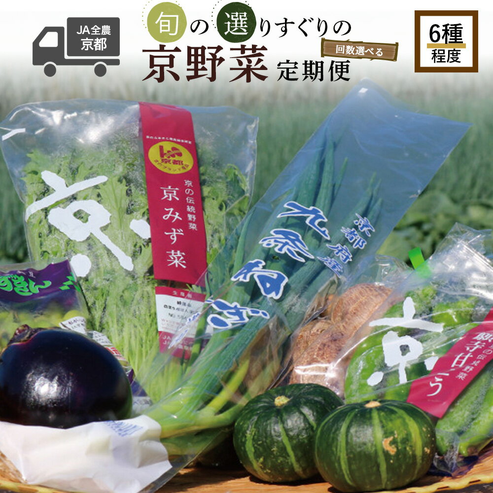 【ふるさと納税】 【 選べる 定期便 】 京野菜 野菜 6種