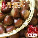 【ふるさと納税】 京都府産 丹波栗 1kg 選べるサイズ L~2L 栗 大粒 秋 旬 味覚 くり 国産 丹波ぐり 丹波くり 生栗 生ぐり 和栗 生くり 京都 京都府 JA JA京都 15000円 20000円