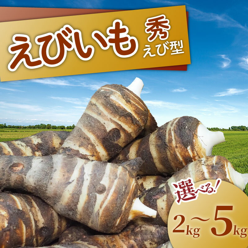 [ 期間限定 ]えびいも 秀 えび型 選べる 容量 2kg・5kg 秀品 京野菜 さといも 里芋 国産 新鮮 旬野菜 旬 美味しい おいしい ブランド 京都府 野菜 京都 お正月 京料理 いも おばんざい 煮物 あんかけ 素焼き 椀だね ふるさと納税 ふるさと納税野菜