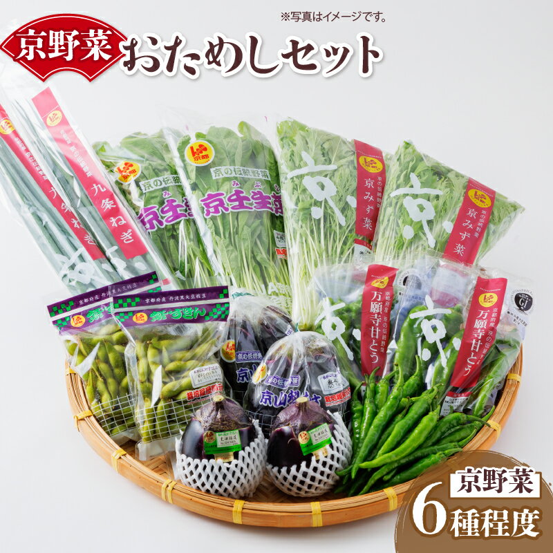 【ふるさと納税】 京野菜 おためし セット 6種 程度 野菜 詰め合わせ 京都 季節 旬 栄養食 九条ネギ 万願寺 賀茂なす 京都府産 数量限定 冷蔵 サラダ 健康 9000円