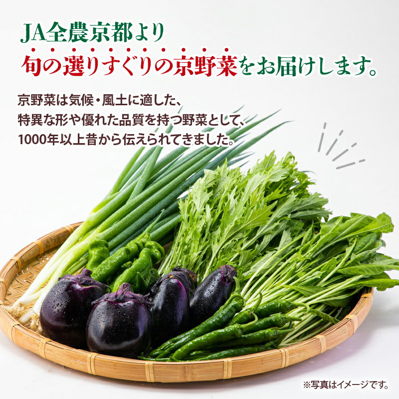 【ふるさと納税】 京野菜 おためし セット 6種 程度 野菜 詰め合わせ 京都 季節 旬 栄養食 九条ネギ 万願寺 賀茂なす 京都府産 数量限定 冷蔵 サラダ 健康 9000円