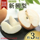 【ふるさと納税】先行予約 京都府産 新興梨 約3kg(5玉~8玉入り) 梨 なし ナシ フルーツ 果物 くだもの 旬 甘い 糖度 秋 JA JA京都 農協 京都 京都府 京丹後産 直送 10000円 1万円