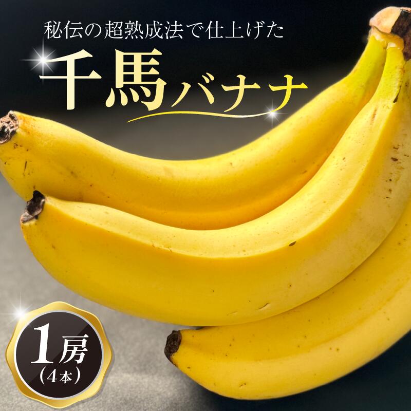 熟成 千馬バナナ 1房 (4~5本) 超熟成法仕立て 果物 バナナ ばなな 朝ご飯 朝食 おやつ 果実 フルーツ デザート スイーツ 甘味 美味しい 千馬Miyabi 城陽市 京都府