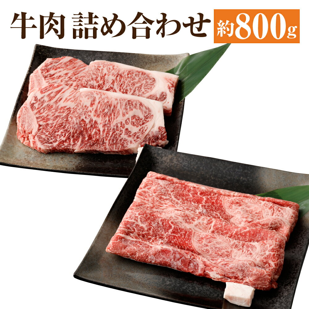 [京都モリタ屋]牛肉 詰め合わせ 約800g ( サーロイン ステーキ 2枚 計440g ・ 肩 モモ すき焼き 380g ) | 和牛 肉 国産肉 京都肉 脂身 赤身 逸品 お取り寄せ グルメ ご当地 ギフト お祝い 内祝い モリタ屋 人気 おすすめ 京都府 京都市