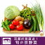 【ふるさと納税】野菜 詰め合わせ 京野菜 6-9品目程度 冷蔵 セット 産地 直送 京都 鍋 サラダ 味噌汁 旬 ギフト お取り寄せ 農家 珍しい 【じねんと市場】 6,000円
