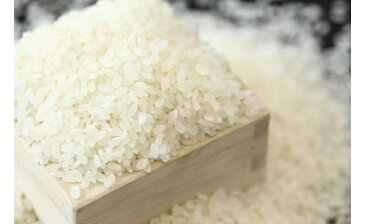 【ふるさと納税】京の料亭米5kg×2袋<八代目儀兵衛>| 米 お米 5kg×2袋 逸品 お取り寄せ お土産 グルメ ご当地 ギフト お祝い 内祝い 八代目儀兵衛 京都府 京都市