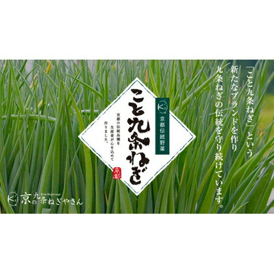 【ふるさと納税】【こと京都】九条ねぎカット食べ比べセット(鍋仕様) | 京都府 京都市 京都 九条ねぎ ねぎ 食べ比べ セット 鍋 各500g 逸品 お取り寄せ お土産 ご当地 ご家庭用 ご自宅用 こと京都 5000円