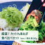 【ふるさと納税】〈こと京都(本社)〉九条ねぎカット食べ比べセット<厳選> | 九条ねぎ ねぎ 京都府 京都市 京都 食べ比べ セット 各500g 逸品 お取り寄せ お土産 ご当地 ご家庭用 ご自宅用 こと京都 5000円 5,000円