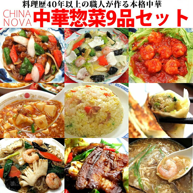 中華料理 9種9品 セット チャイナノーヴァ | 京都府 京都市 京都 中華 惣菜 中華専門店 グルメ セット 酢豚 八宝菜 海老 チリソース 麻婆豆腐 野菜 海鮮 フカヒレ 玉子 スープ ナス 餃子 チャーハン 逸品 お取り寄せ お土産 グルメ