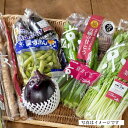 【ふるさと納税】【JA全農京都】季節の京野菜セット | 京野菜 セット 詰め合わせ 7〜8種類 お取り寄せ グルメ ご当地 ギフト お祝い お土産 ご家庭用 ご...