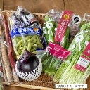 【ふるさと納税】【JA全農京都】季節の京野菜セット | 京野菜 セット 詰め合わせ 7〜8種類 お取り寄せ グルメ ご当地 ギフト お祝い お土産 ご家庭用 ご自宅用 内祝い 都 京都府 京都市