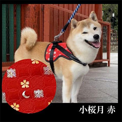 [柴犬コウタのハッピィショップ]中型犬用 京都西陣金襴織 ハーネス 華〜HANA〜 [小桜月 赤]| 犬 ハーネス ペット 中型犬 西陣 和柄 ギフト 京都府 京都市