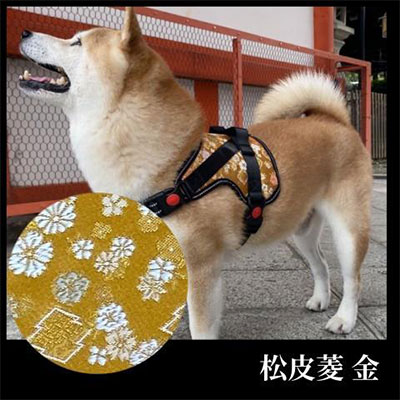 [柴犬コウタのハッピィショップ]中型犬用 京都西陣金襴織 ハーネス 華〜HANA〜 [松皮菱 金]| 犬 ハーネス ペット 中型犬 西陣 和柄 ギフト 京都府 京都市