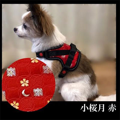 [柴犬コウタのハッピィショップ]小型犬用 京都西陣金襴織 ハーネス 華〜HANA〜 [小桜月 赤]| 犬 ハーネス ペット 小型犬 西陣 和柄 ギフト 京都府 京都市