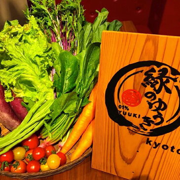 【ふるさと納税】【緑のゆうき】野菜の売上1％が社会の応援に　京都産こだわりの野菜（有機野菜、栽培期間中農薬・化学肥料不使用など）の一番美味しいタイミングで収穫したセット