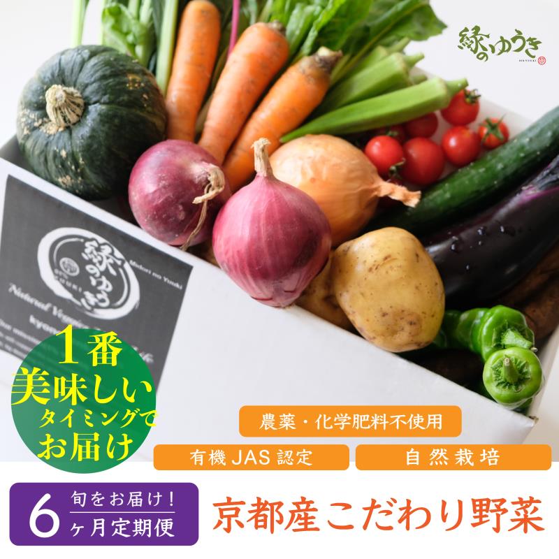 【ふるさと納税】＜6か月定期便＞【緑のゆうき】野菜の売上の1％が社会の応援に　京都産こだわりの野菜（有機野菜、栽培期間中農薬・化学肥料不使用など）の一番美味しいタイミングでお届けするセット（2024年1月、6月、7月、10月、11月、12月の計6回）