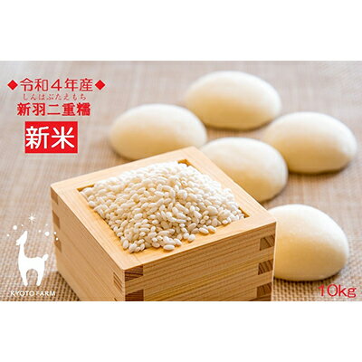 【ふるさと納税】【京都ファーム】令和4年産 京都ファームのもち米 新羽二重糯10kg | 京都 もち米 新羽二重糯 10kg 新米 国産 逸品 お取り寄せ グルメ ご当地 京都ファーム 京都府 京都市