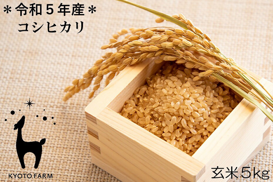 29位! 口コミ数「0件」評価「0」【京都ファーム】令和5年産 京都ファームのコシヒカリ 玄米5kg|京都 京 京都市 京都ファーム 米 コシヒカリ 玄米 5kg お土産 ご当･･･ 