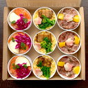 【ふるさと納税】【花梓侘】coco寿し(9個入り)| かしわい ちらし寿司 逸品 冷凍 惣菜 穴子 チーズ 牛 お取り寄せ お土産 グルメ ご当地 ギフト お祝...