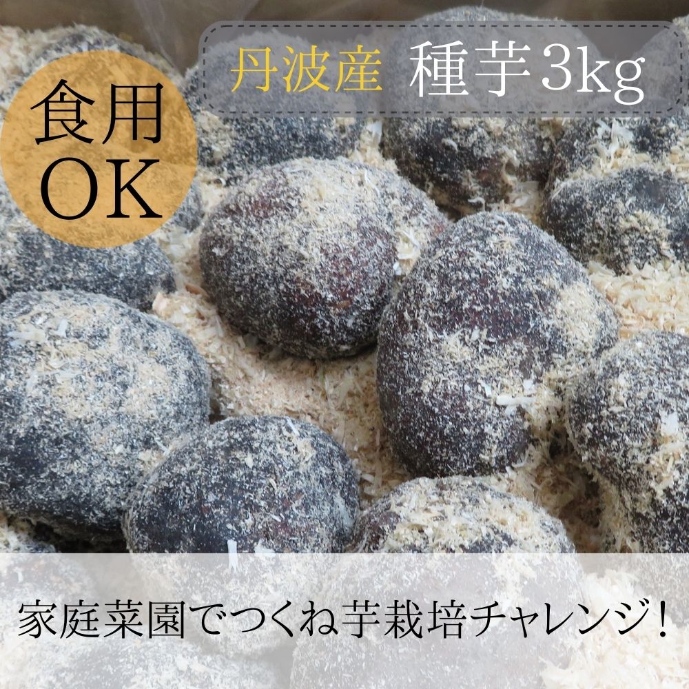 【ふるさと納税】【芋家なか吉】《丹波山の芋 種芋 大玉 3kg 食用でもOK │R5 11月収穫 京都 京都市 芋 やまいも たねいも 家庭菜園 山芋 ヤマイモ 人気 おいしい 美味しい おすすめ 芋 イモ いも 父の日 お中元