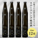 【ふるさと納税】【黄桜】ピアノ (300ml×12本)