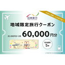 【ふるさと納税】京都府京都市 日本旅行 地域限定旅行クーポン60,000円分 | 京都府 京都市 トラベル 宿泊 予約 旅行クーポン 人気 おすすめ