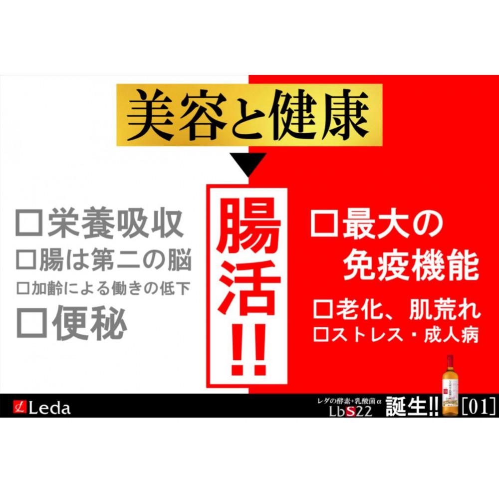 【ふるさと納税】【レダ】レダの酵素＋乳酸菌αLbS22 600ml | レダ 酵素 健康 腸活 乳酸菌 飲料 ソフトドリンク 人気 おすすめ 送料無料