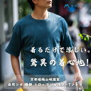 【ふるさと納税】【YAMASHIRO】藤巻百貨店別注 綿100%フリーサイズTシャツ(京ちぢみ)