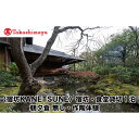 【ふるさと納税】【高島屋選定品】〈宿坊KANETSUNE〉宿坊・食堂貸切1泊<一組限定一棟貸し宿坊5名まで>朝夕食無し オプション 茶陶・浅見五郎助氏工房にて作...