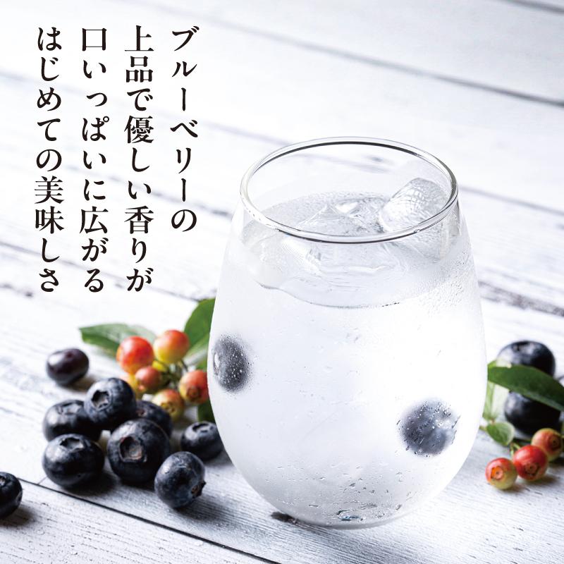 【ふるさと納税】【わかさ生活】ブルーベリードライジン「Berry&Berry」700ml×1本 アルコール度数45度 | 京都 サプリ ブルーベリーアイ 売上No.1 人気 おすすめ お酒 酒 アルコール ジン 健康