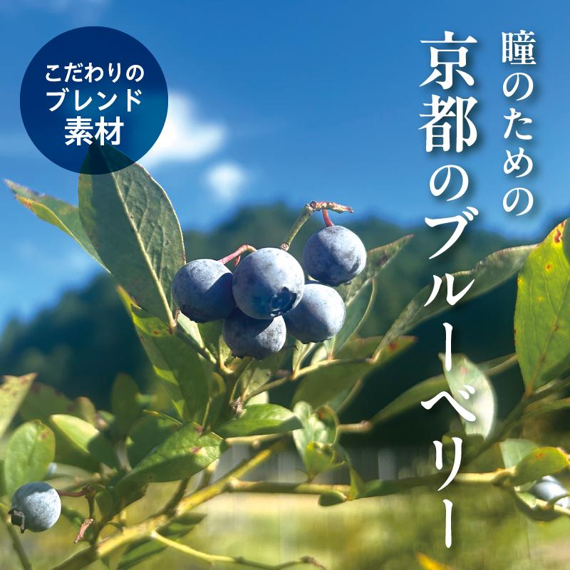 【ふるさと納税】【わかさ生活】ブルーベリードライジン「Berry&Berry」700ml×1本 アルコール度数45度 | 京都 サプリ ブルーベリーアイ 売上No.1 人気 おすすめ お酒 酒 アルコール ジン 健康