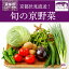 【ふるさと納税】野菜 詰め合わせ 京野菜 6-9品目程度 冷蔵 セット 産地 直送 京都 鍋 サラダ 味噌汁 旬 ギフト お取り寄せ 農家 珍しい 【じねんと市場】 6,000円