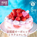 【ふるさと納税】【むしやしない】京都産オーガニックミラクル*いちご(5号) | 京都 一乗寺 豆乳 スイーツ ケーキ グルテンフリー ヴィーガン アレルギー対応 人気 おすすめ 苺 いちご ホールケーキ お菓子 お取り寄せ 通販 ふるさと納税