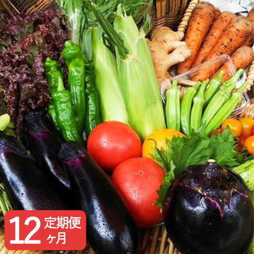 【ふるさと納税】〈12ヶ月定期便〉【アスカ有機農園】旬のこだわり京野菜セットS | 京都 京都市 京都府 野菜 京野菜 旬 季節 新鮮 セット 詰め合わせ 逸品 お取り寄せ グルメ 【ふるさと納税】〈12ヶ月定期便〉【アスカ有機農園】旬のこだわり京野菜セットS | 京都 京都市 京都府 野菜 京野菜 旬 季節 新鮮 セット 詰め合わせ 逸品 お取り寄せ グルメ