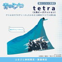 【ふるさと納税】【青のミブロ×京都市】《期間限定2025/5/31まで》青のミブロ×大東寝具コラボ tetra三角ビーズクッション(1種)[ 京都 期間限定 新...
