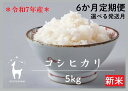 【ふるさと納税】〈6か月定期便〉【新米先行受付】【京都ファーム】令和7...(4)