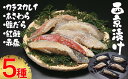 【ふるさと納税】【内海水産】西京漬け5種セット(本鰆・紅鮭・カラスカレイ・赤魚・銀だら) | 京都 西京漬け 逸品 お取り寄せ グルメ ご当地 ギフト お祝い 内祝い 京都府 京都市